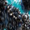 Underwater cleaning