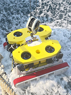 ROV ROBOT