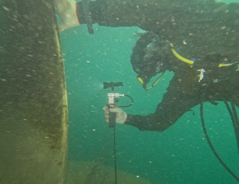 In-water survey