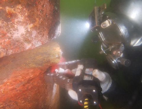 In-water survey
