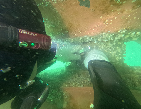 In-water survey